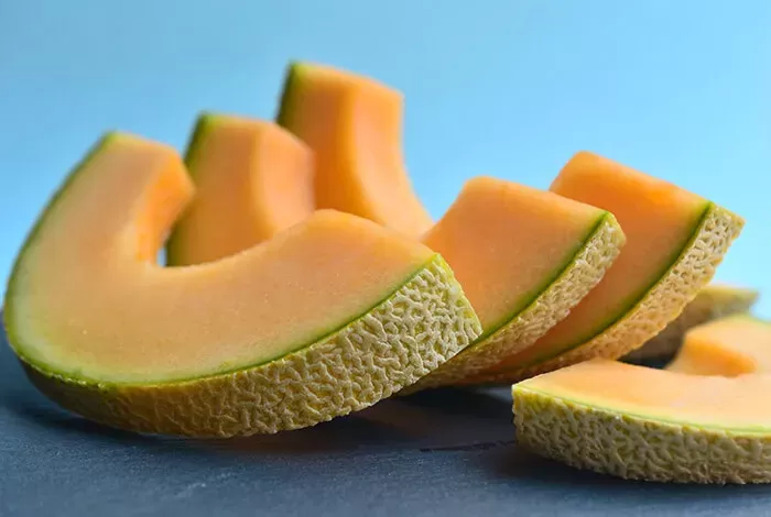 Is Cantaloupe Good for Dogs Stomach