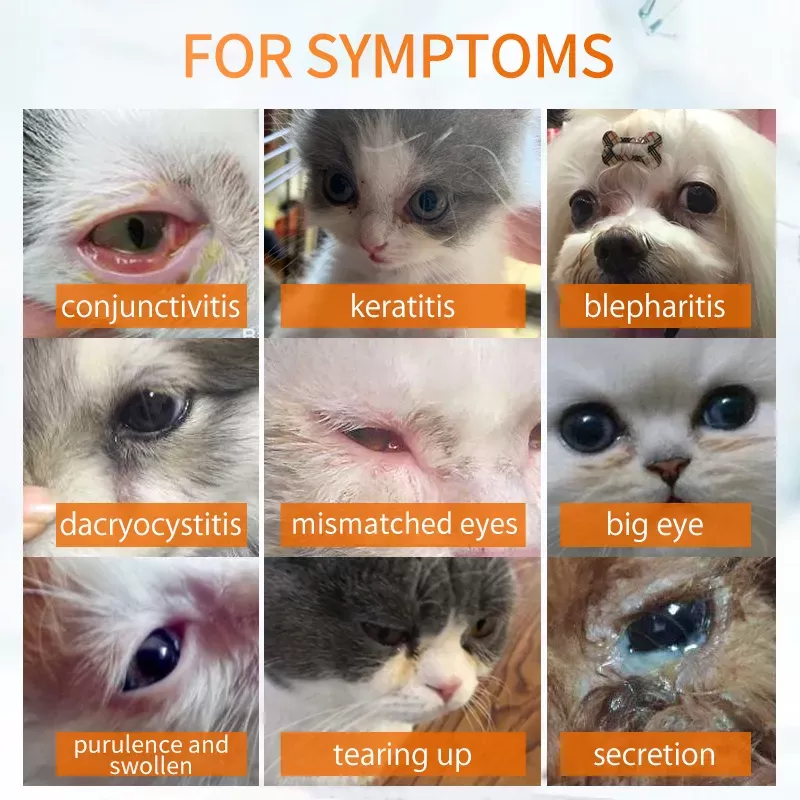 Conjunctivitis -Ophthalmic Suspension