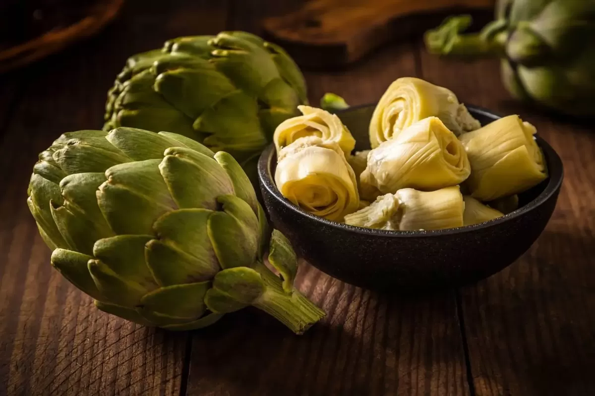 Can Dogs Eat Artichokes (17 Things To Know And Avoid )