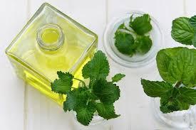 Peppermint Oil