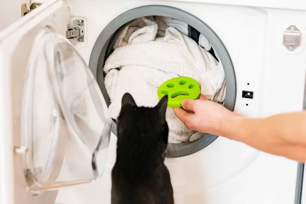 How To Clean Cat Toys (Step-by-Step)