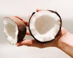 Can Dogs Have Coconut