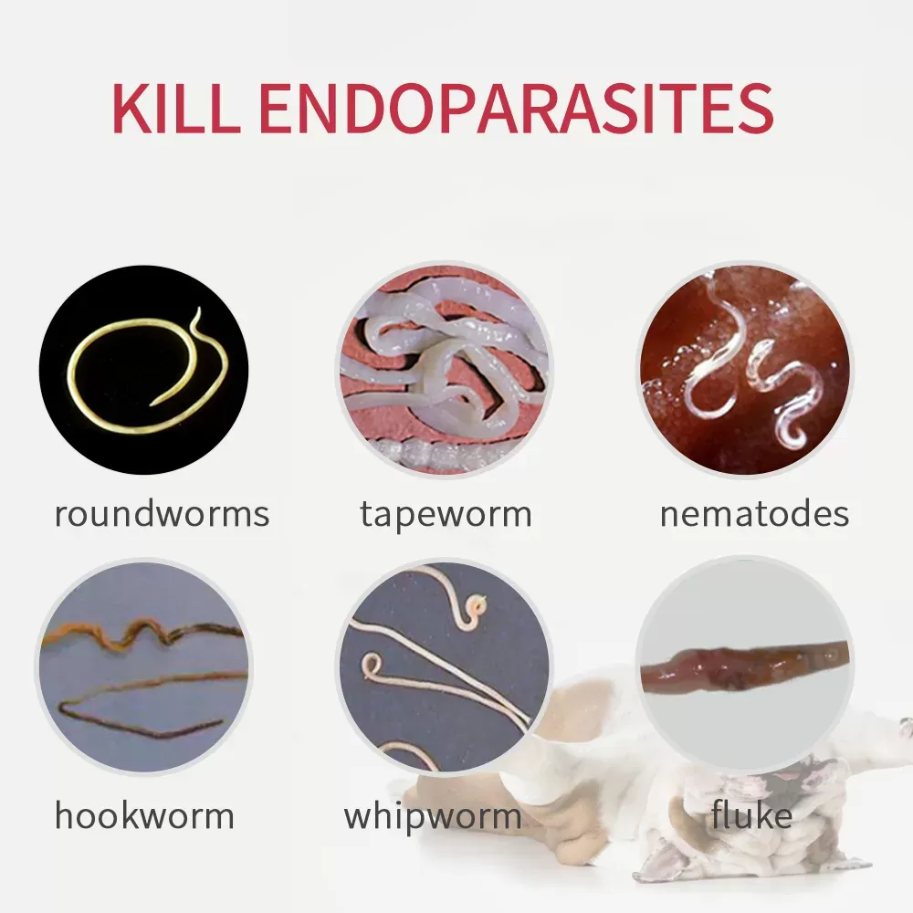 Puainta® Kill Endoparasites; Deworming Inside Pet’s Body