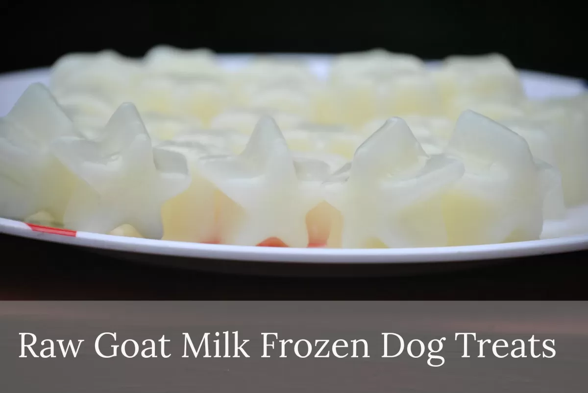 Homemade Goat Milk Treats for Dogs