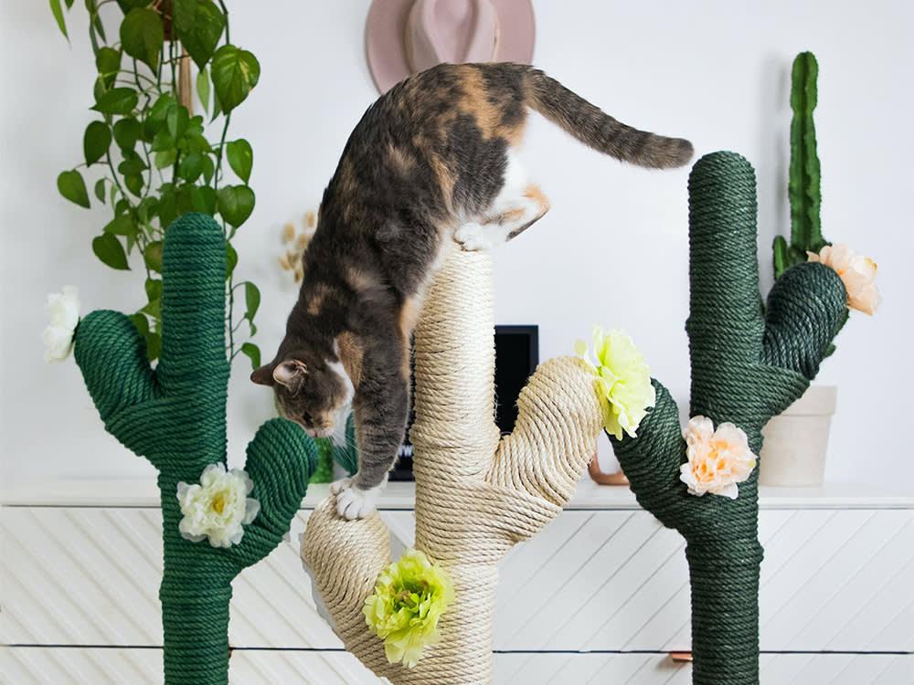 Árvores para gatos recomendadas por designers de interiores · O mais selvagem