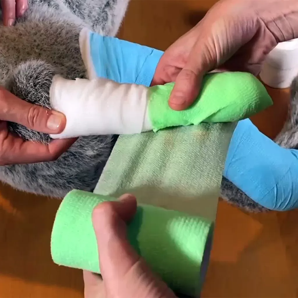 How to Bandage a Cat Wound