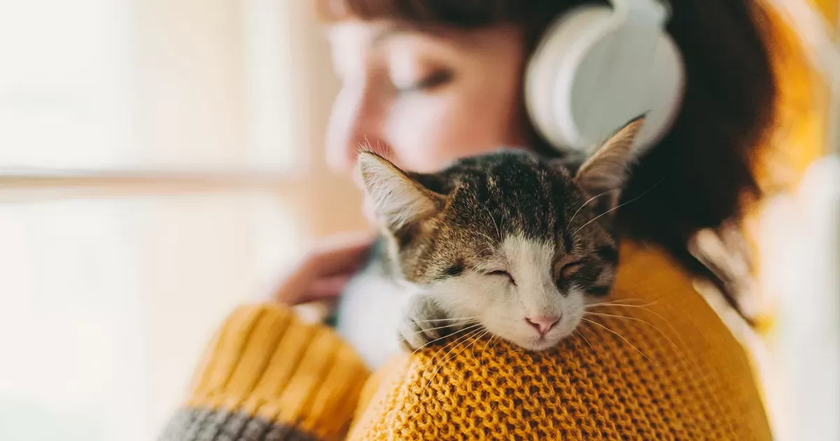 According to study, there are 5 types of cat-owner relationships