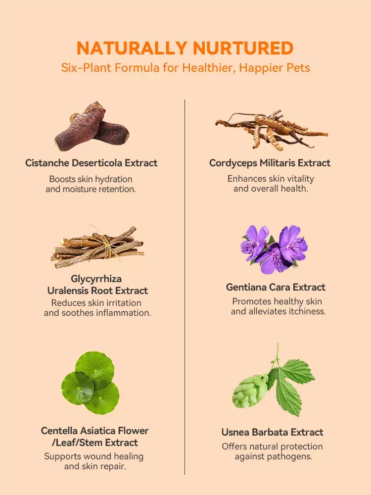 Puainta® Quantum Silver Spray pour la peau pour chiens/chats