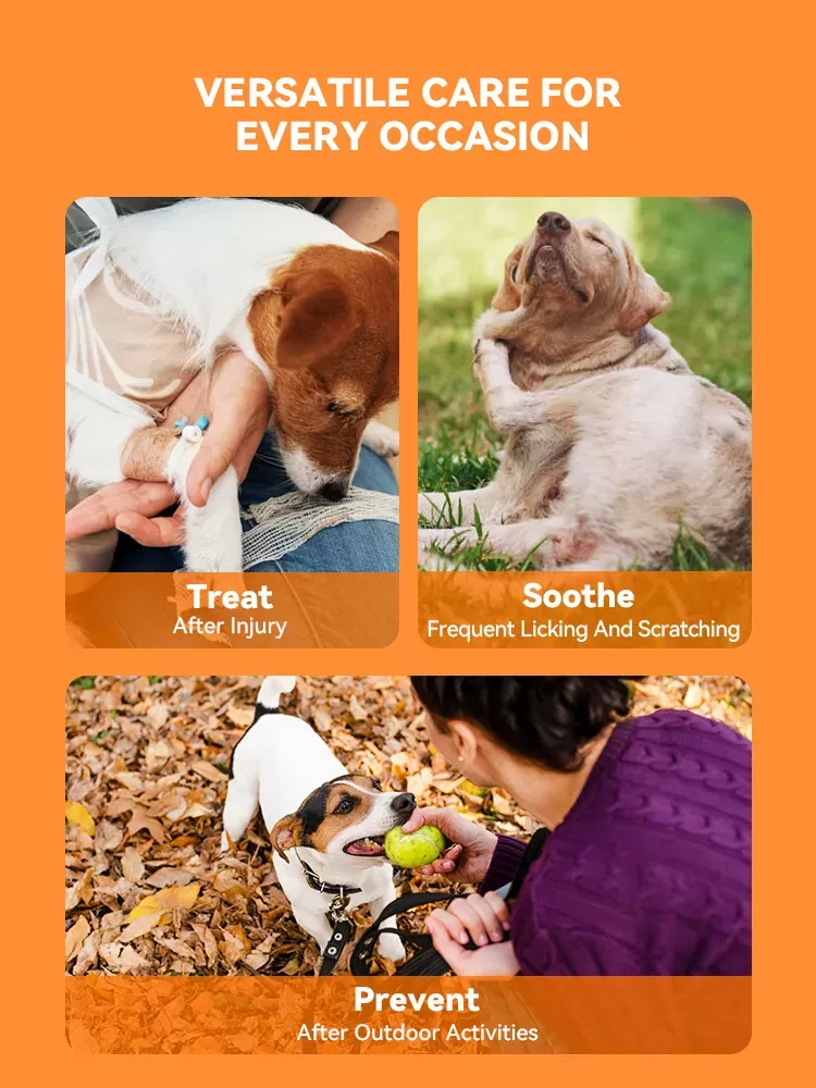 Puainta® Quantum Silver Spray pour la peau pour chiens/chats