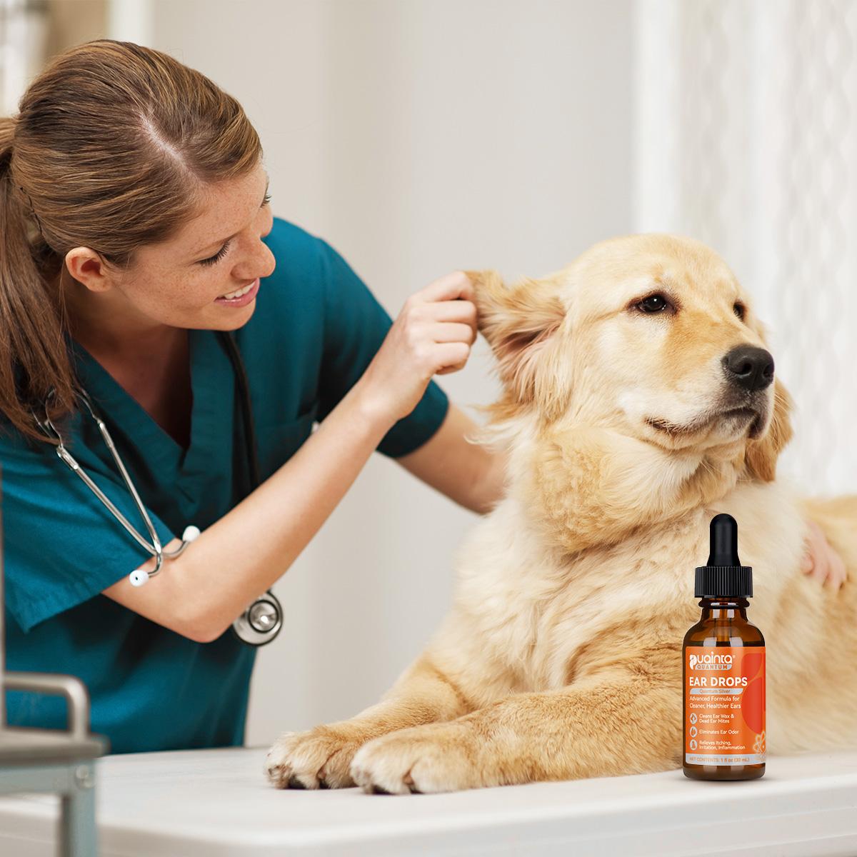 Puainta® Quantum Ear Drop - Alivia la picazón, limpia la cera