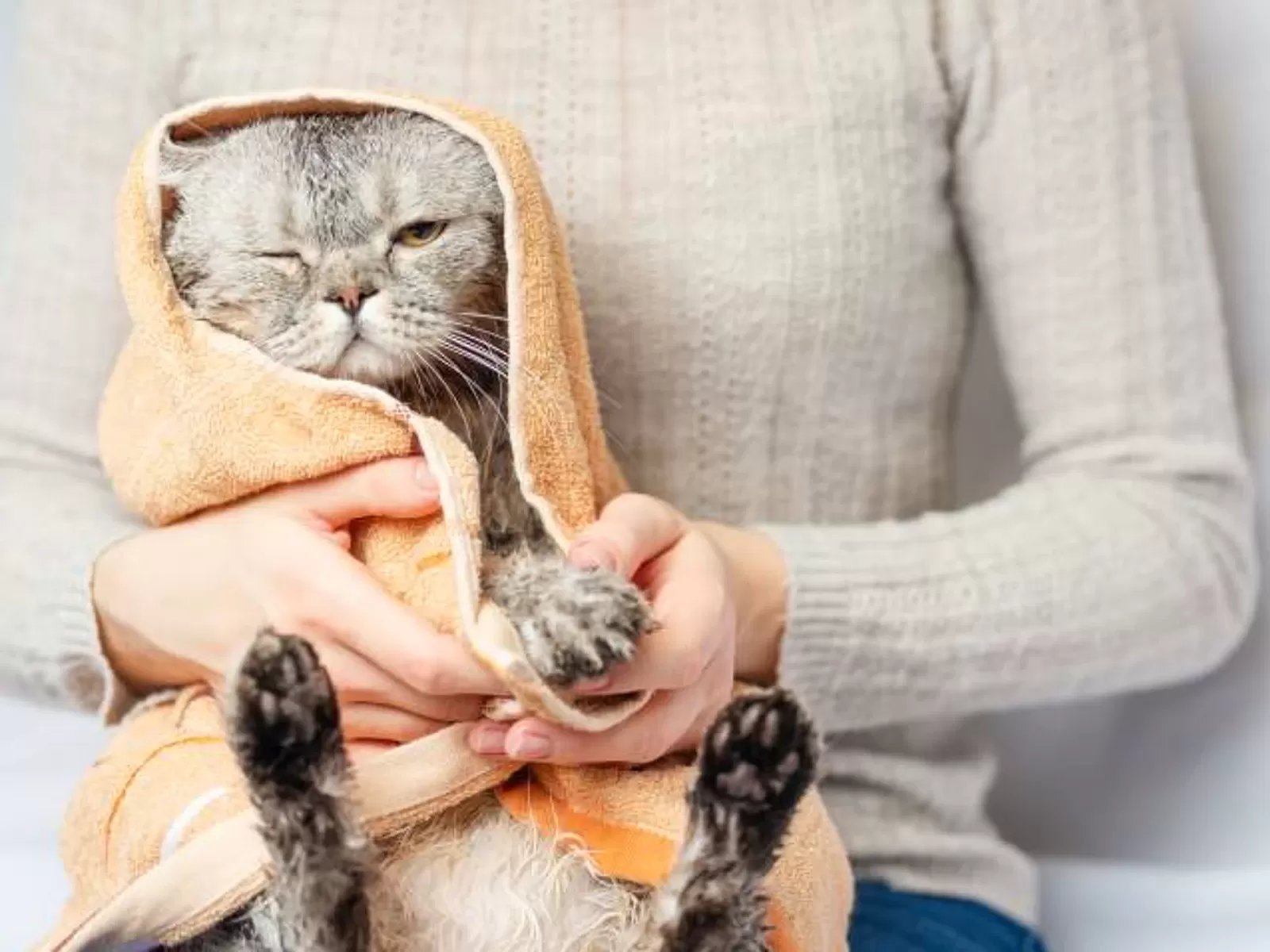 Common Mistakes Cat Owners Make When Treating Hot Spots