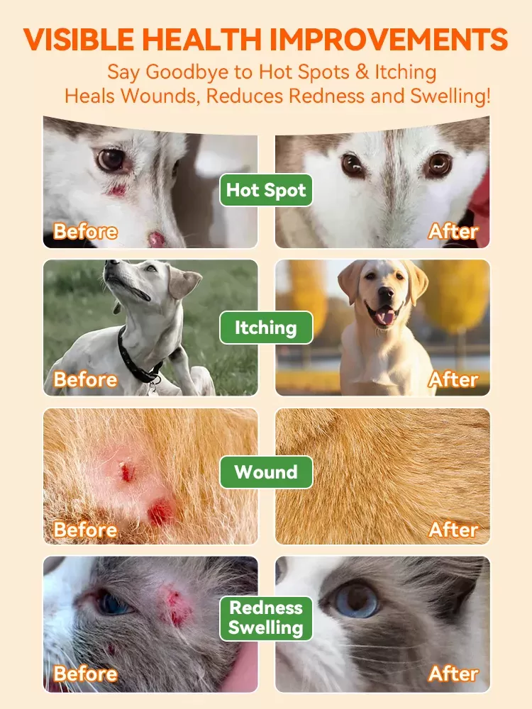 Remédio herbal para irritação da pele de animais de estimação – Puainta Itch Relief Gel for Dogs