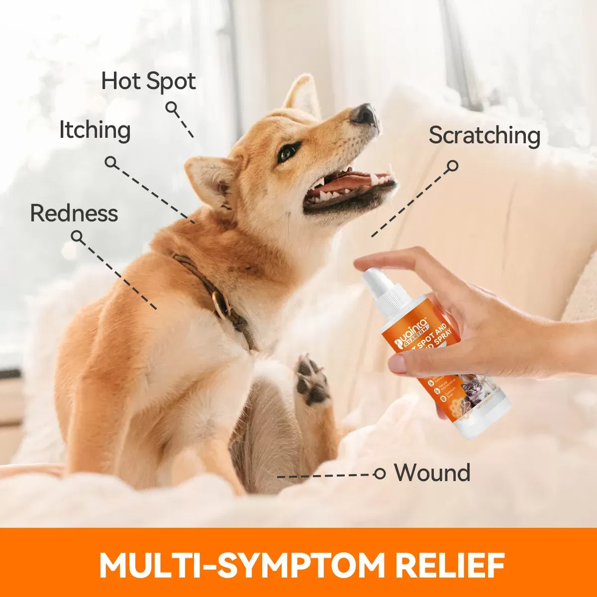 Ensemble de produits anti-démangeaisons naturels Puainta Spray, Quantum Silver Spray 4 floz et Shampooing à base de plantes 8 floz