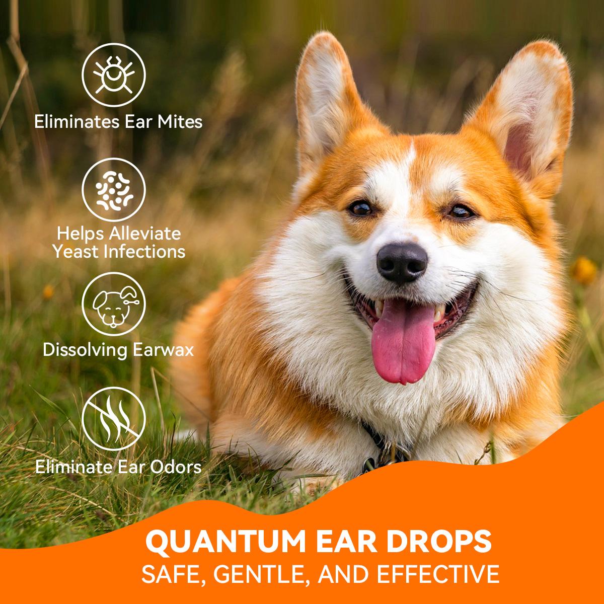 Puainta® Quantum Ear Drop Soulage les démangeaisons, nettoie le cérumen