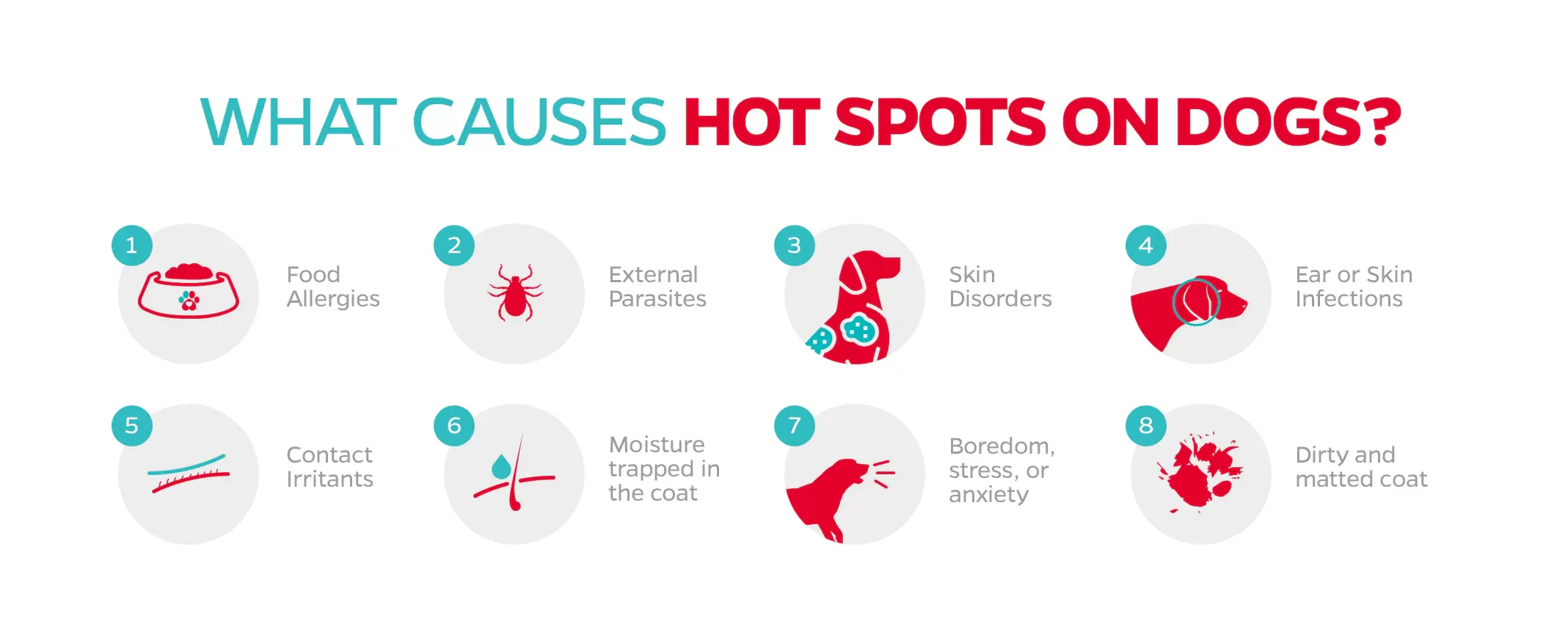 what cause hot spots on dogs