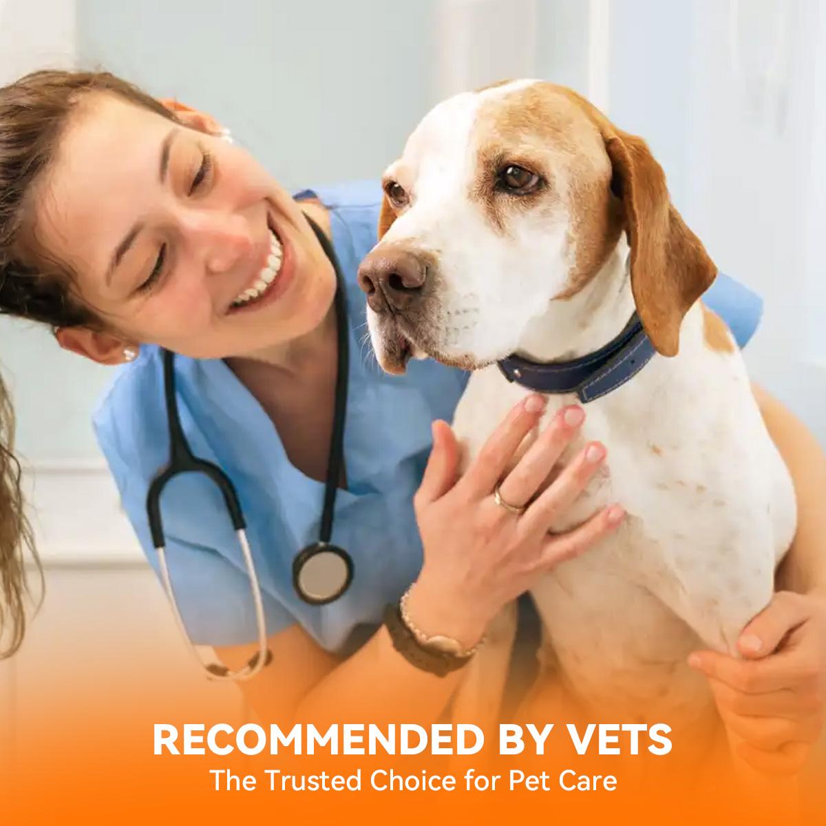 köpekler ve kediler için puaintta® doğal sıcak spot spreyi