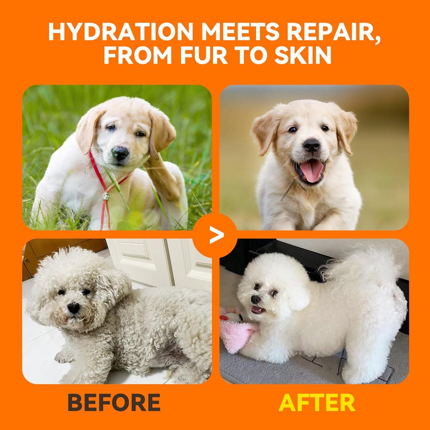 Ensemble de produits anti-démangeaisons naturels Puainta Spray, Quantum Silver Spray 4 floz et Shampooing à base de plantes 8 floz