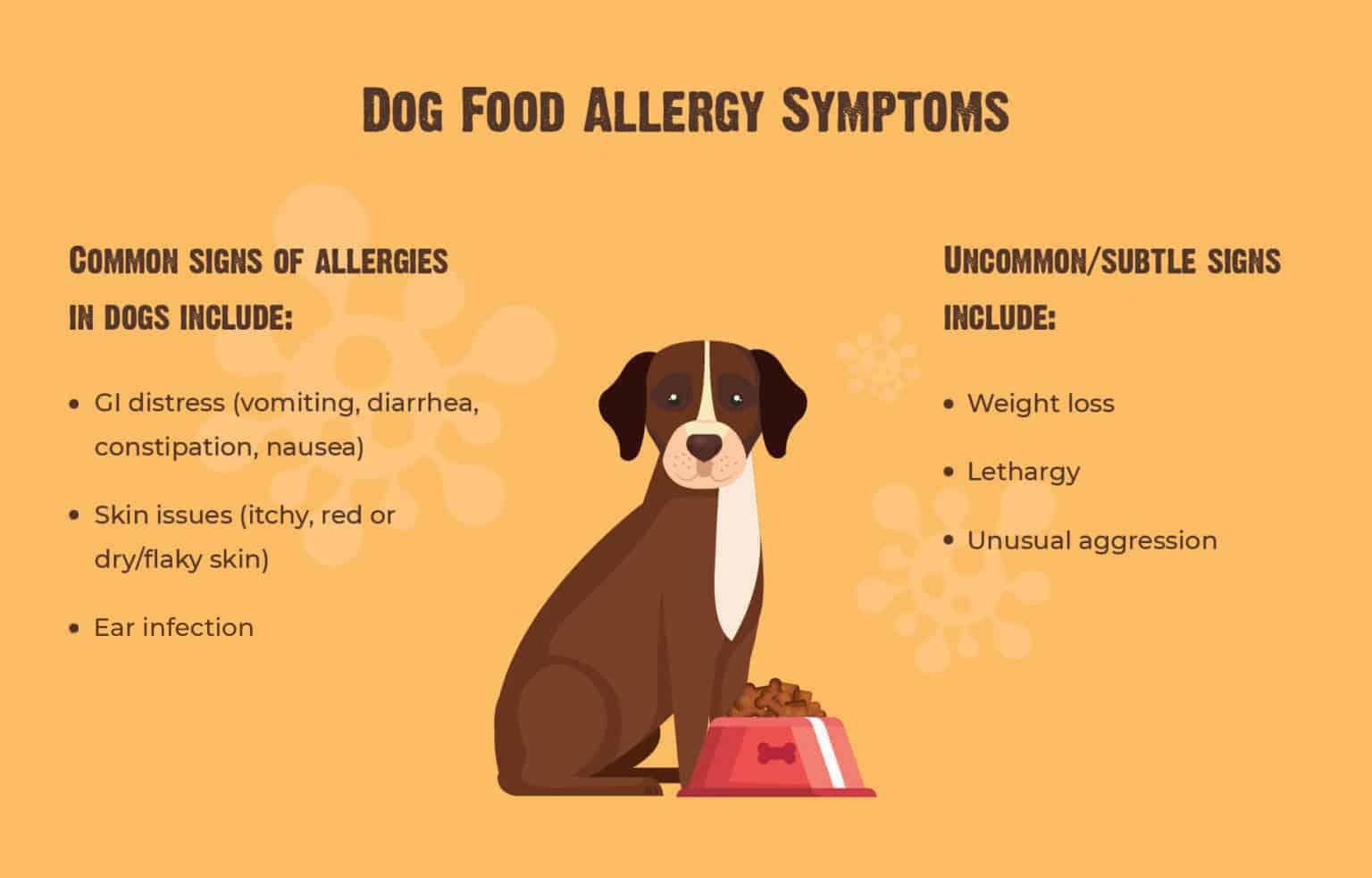 food allergies symptoms in dogs