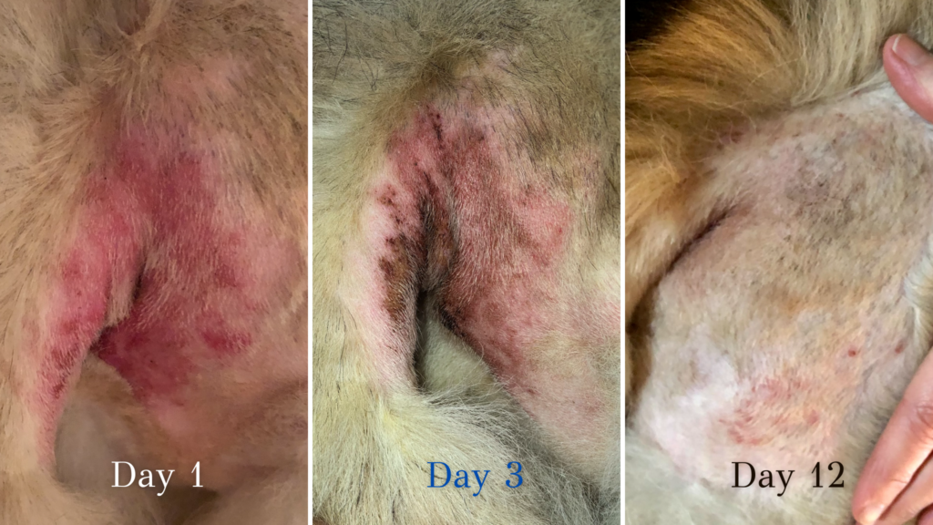 treatment for hot spots