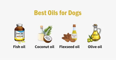 Você pode colocar azeite na pele dos cães