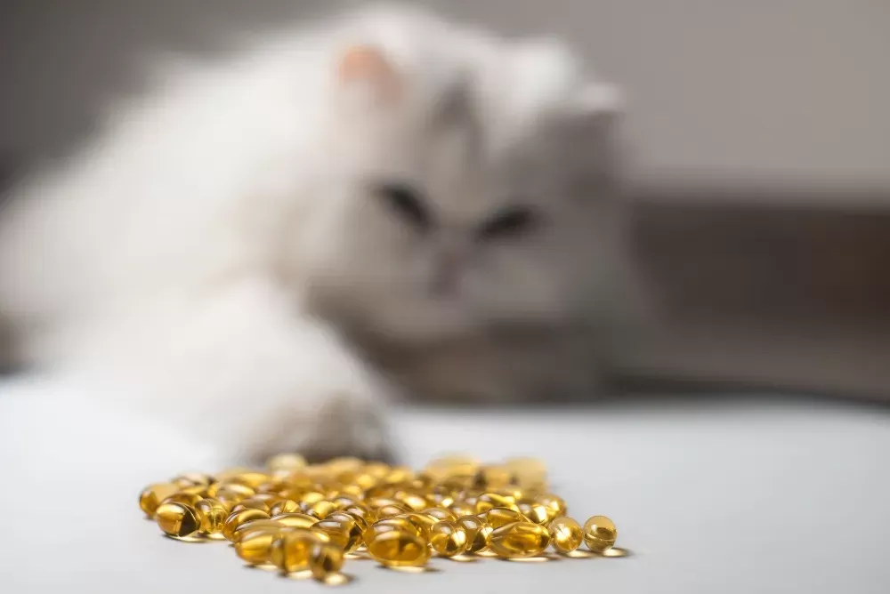 Gatos epa dha benefits