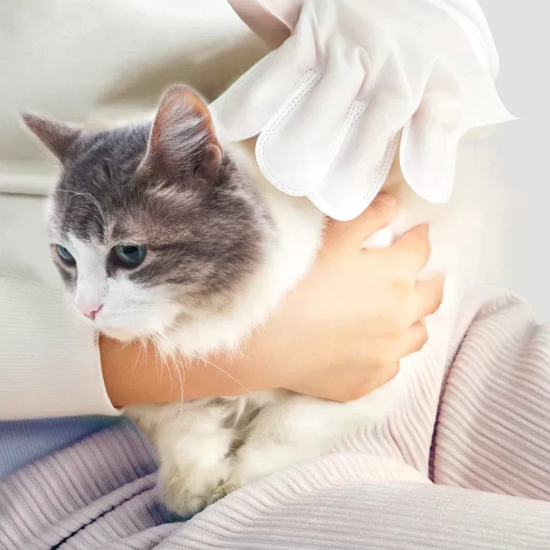 how to dry clean a cat​