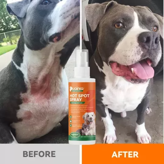 Puainta® Natural Hot Spot Spray para Perros y Gatos