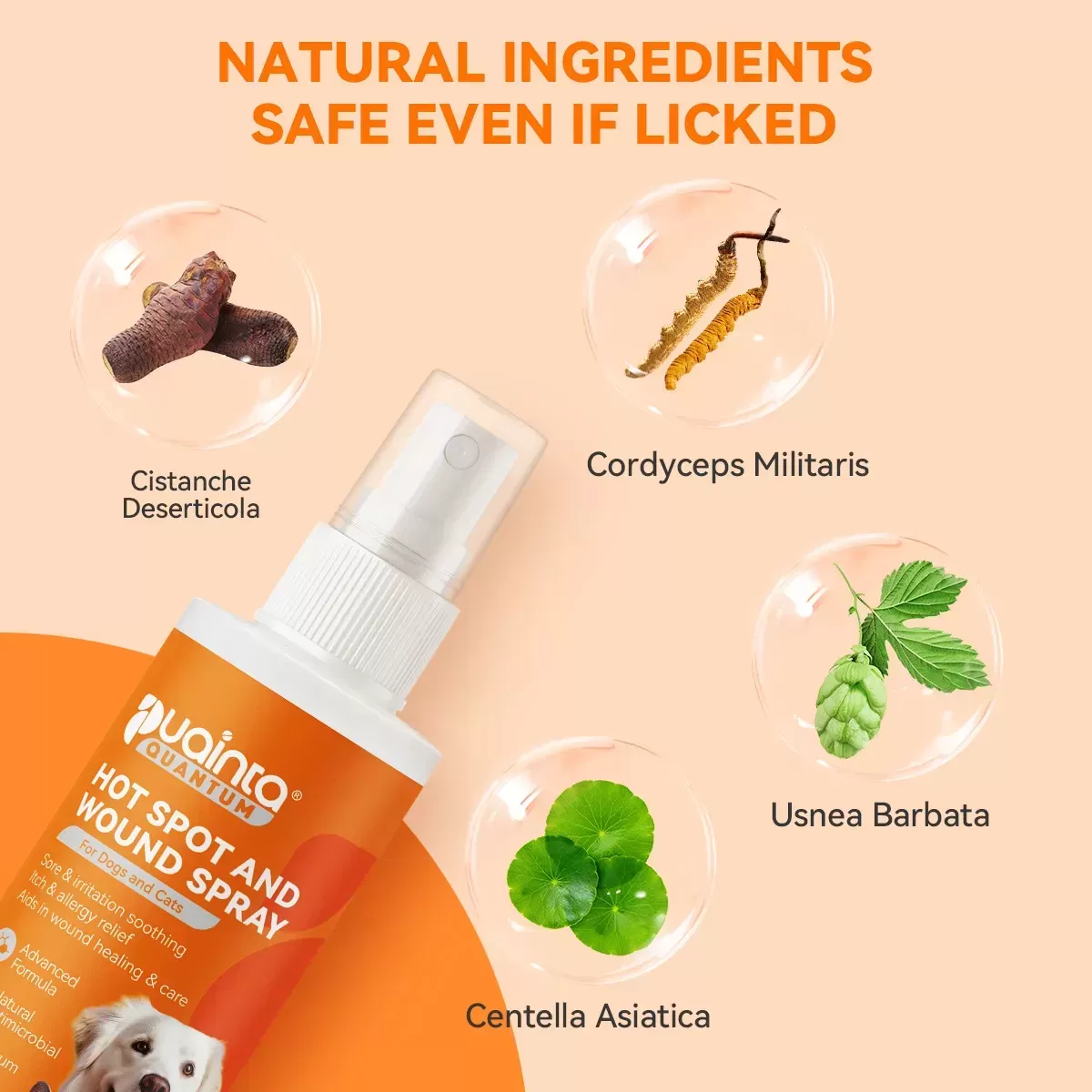 Puainta® Quantum Silver Spray de Pele Anti-coceira para Cães/Gatos, Alívio de Sarna Pipot Atualizado