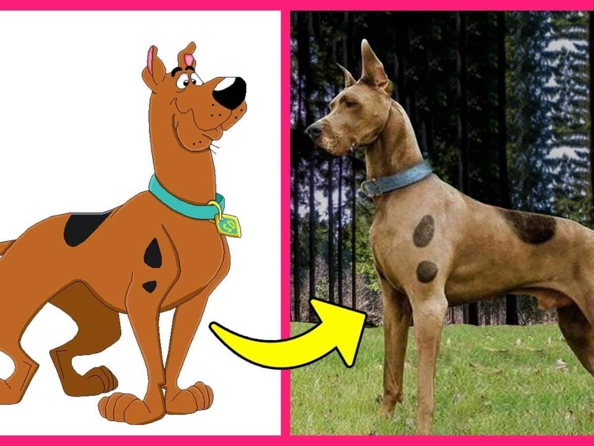 que tipo de cachorro é Scooby Doo