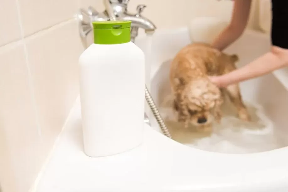 is dawn dish soap safe for dogs​