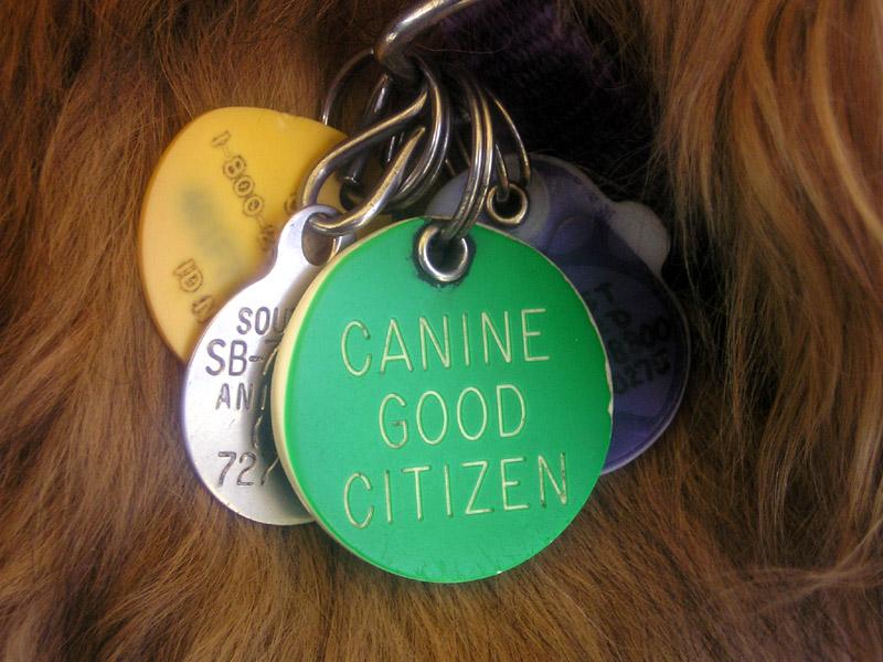 Canine Good Citizen Test