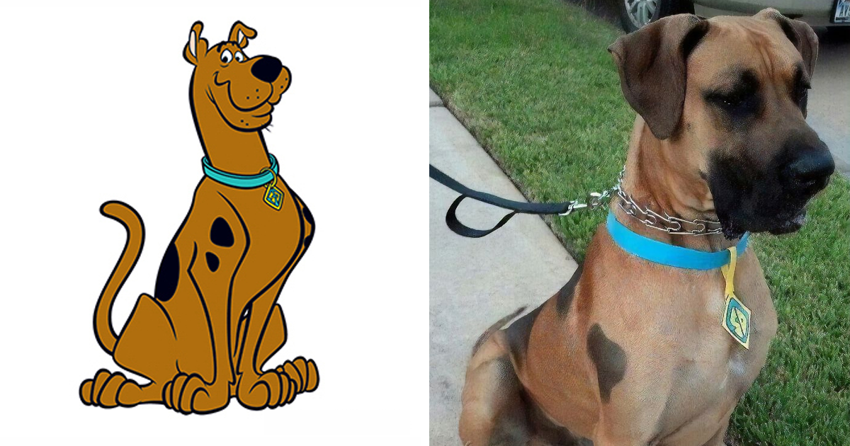 que tipo de cachorro é o Scooby Doo