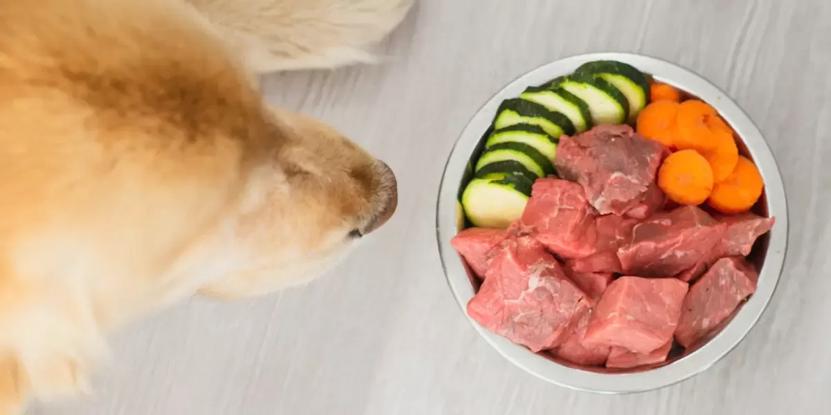 Raw Meat Diet for Dogs​