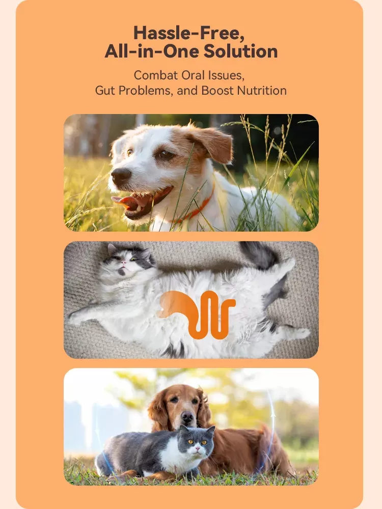 Dental Powder For Dogs & Cats Effectiveness Description