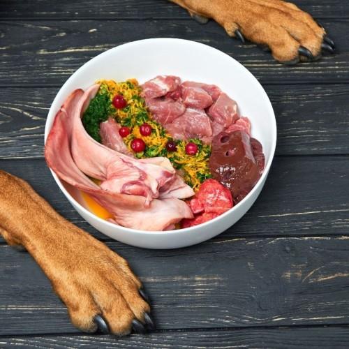 Raw Meat Diet for Dogs​