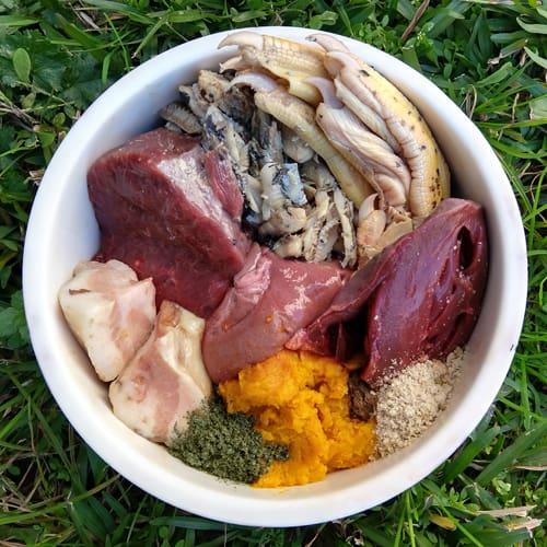 Raw Meat Diet for Dogs​