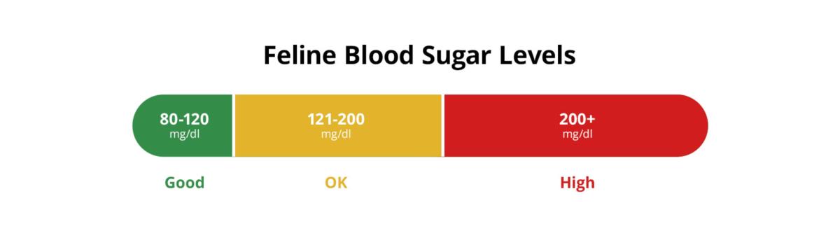 Feline Stress Hyperglycemia